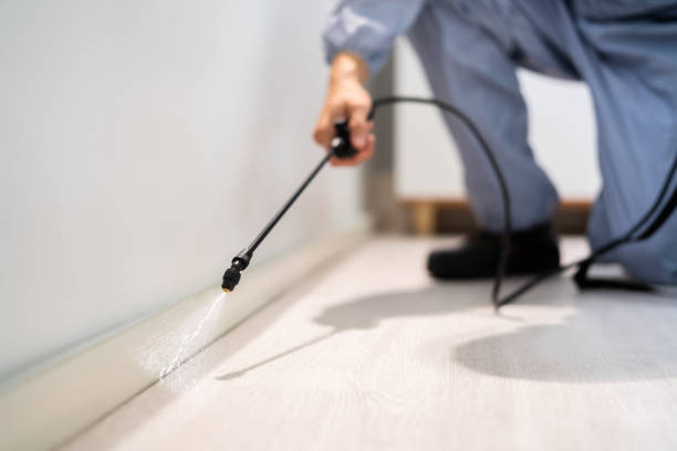 Rodent Entry Point Assessment in Kaysville