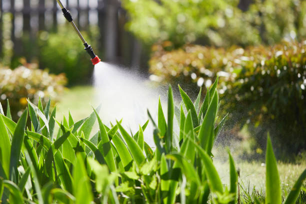 Tamper-Resistant Bait Stations for Rodents in Kaysville