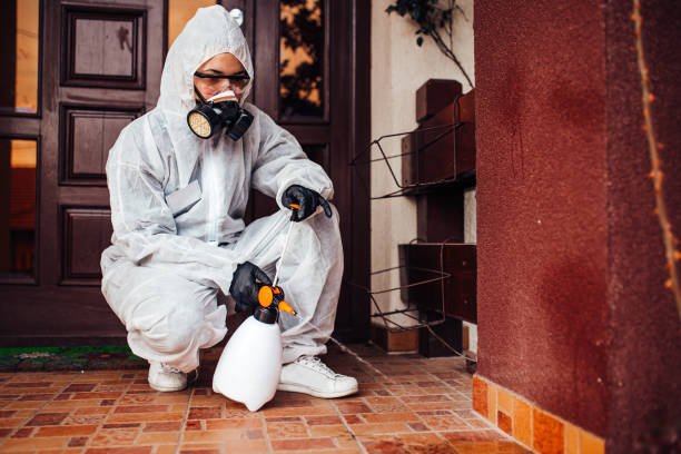 Attic and Crawl Space Rodent Treatment in Kaysville